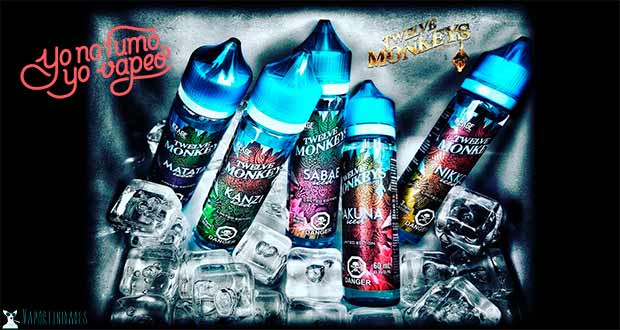 Twelve Monkeys Twelve monkeys el frescor en yonofumoyovapeo